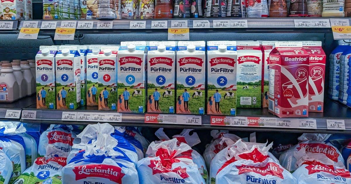 Canadian Dairy Commission to raise farmgate milk price 2.3% effective Feb. 1, 2026