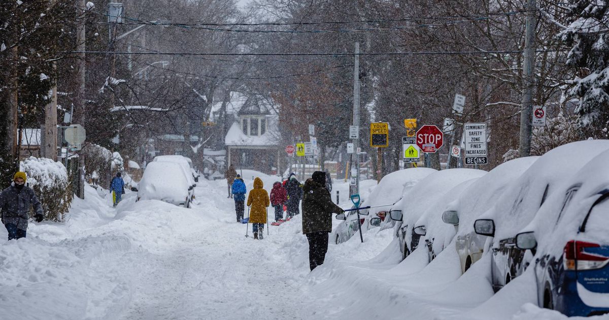 Toronto buried by 35 cm of snow as crashes and service disruptions mount